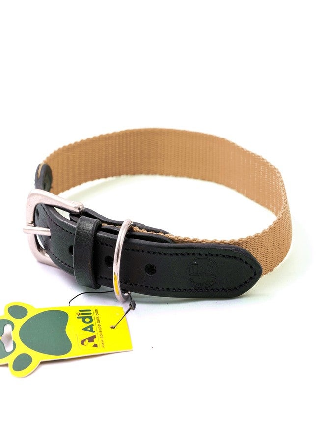 ADIL'S Adil’S Dog Collar for All Sized Dog Adjustable Nylon with Leather Dog Collars 25mm, Metal-Buckle with D-Ring, Colour: Beige :Size,S - Image 1